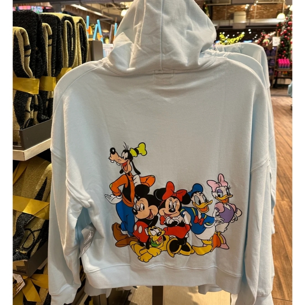 Official Disneyland Zip up hoodie